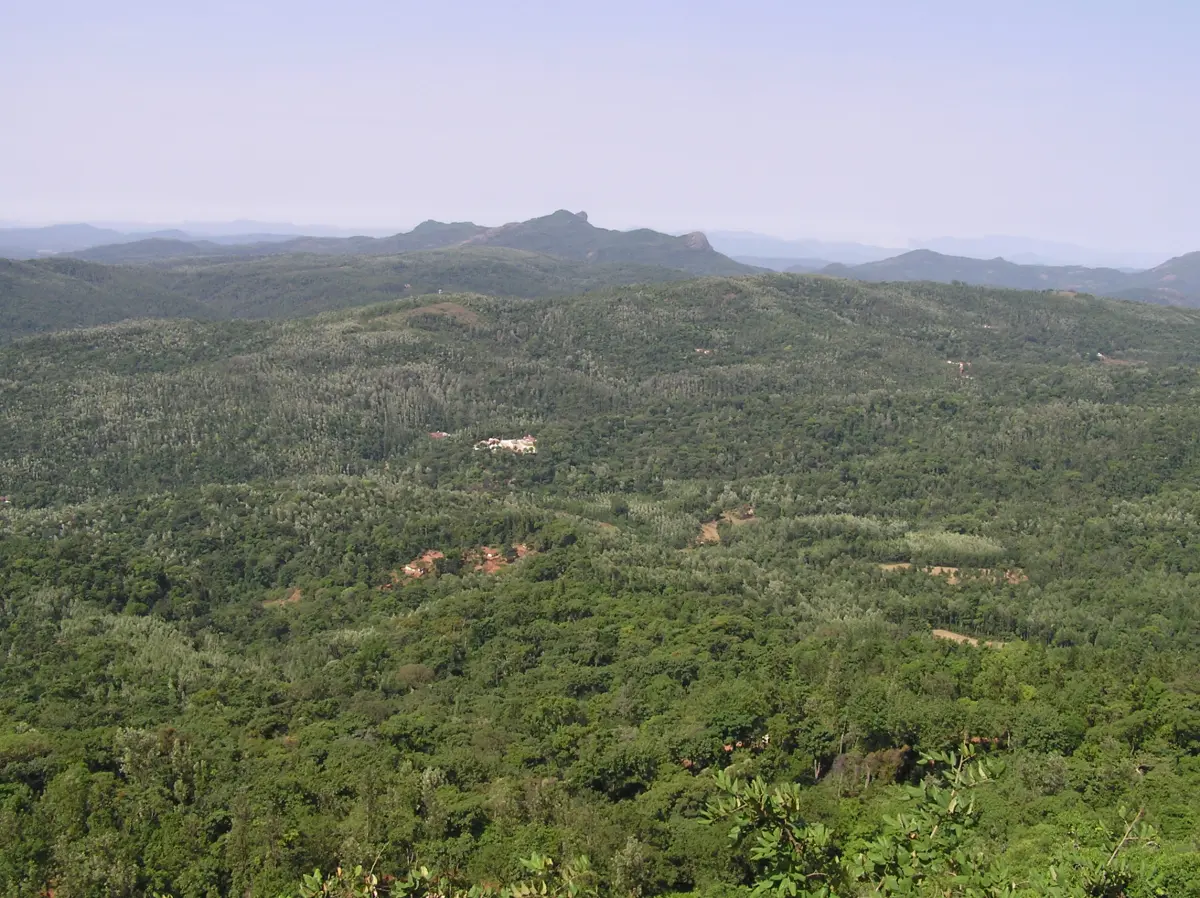 Coffee plantation landscape in Chikmagalur, a weekend hill getaway from Bangalore